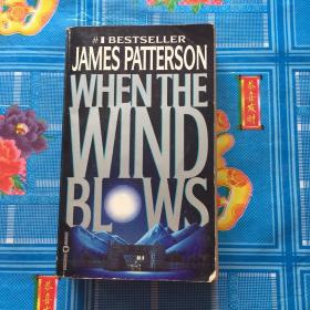 JAMES PATTERSON WHEN THE WIND BLWS
