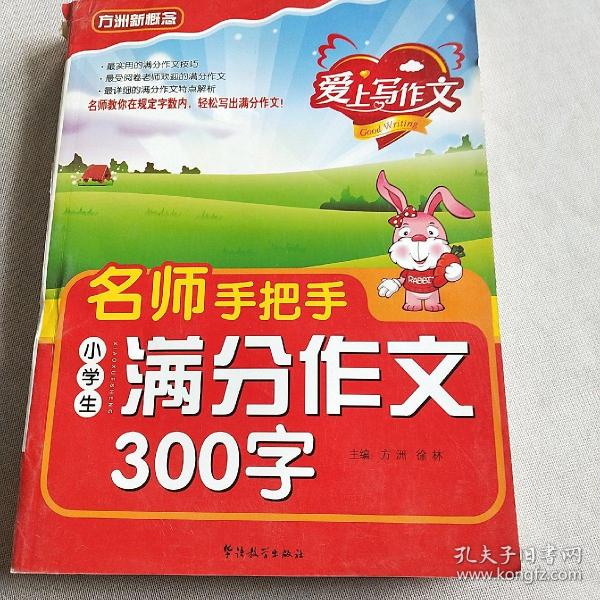 名师手把手小学生满分作文300字