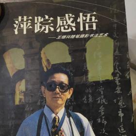 王继兴随笔摄影书法艺术