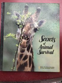 SECRETS OF ANIMAL SURVIVAL 精装 大12开 图文本