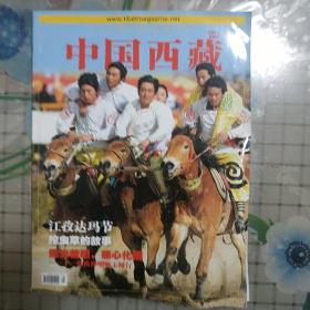 中国西藏(双月刊 2010年第4期)