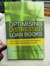 Optimising Distressed Loan Books: Practical solutions for dealing with non-performing loans