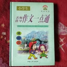 小学生作文一点通:名师指导