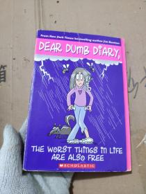 The Worst Things in Life Are Also Free：DEAR DUMB DIARY #10