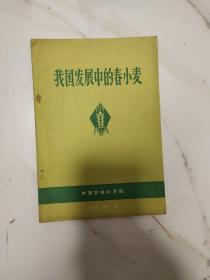 我国发展中的春小麦