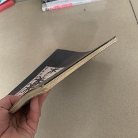 崔子范先生的艺术世界