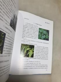 庐江树木志【大16开精装本，彩图铜版纸印刷，品相好】