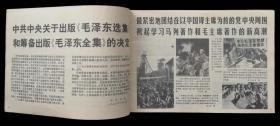 1976年河北工农兵画刊10~11期