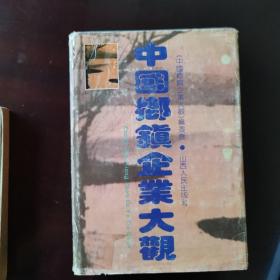 中国乡镇企业大观.首卷
1991年一版一印  仅印5500册