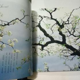 美丽北洋-梦憩特色小镇畅想诗意生活