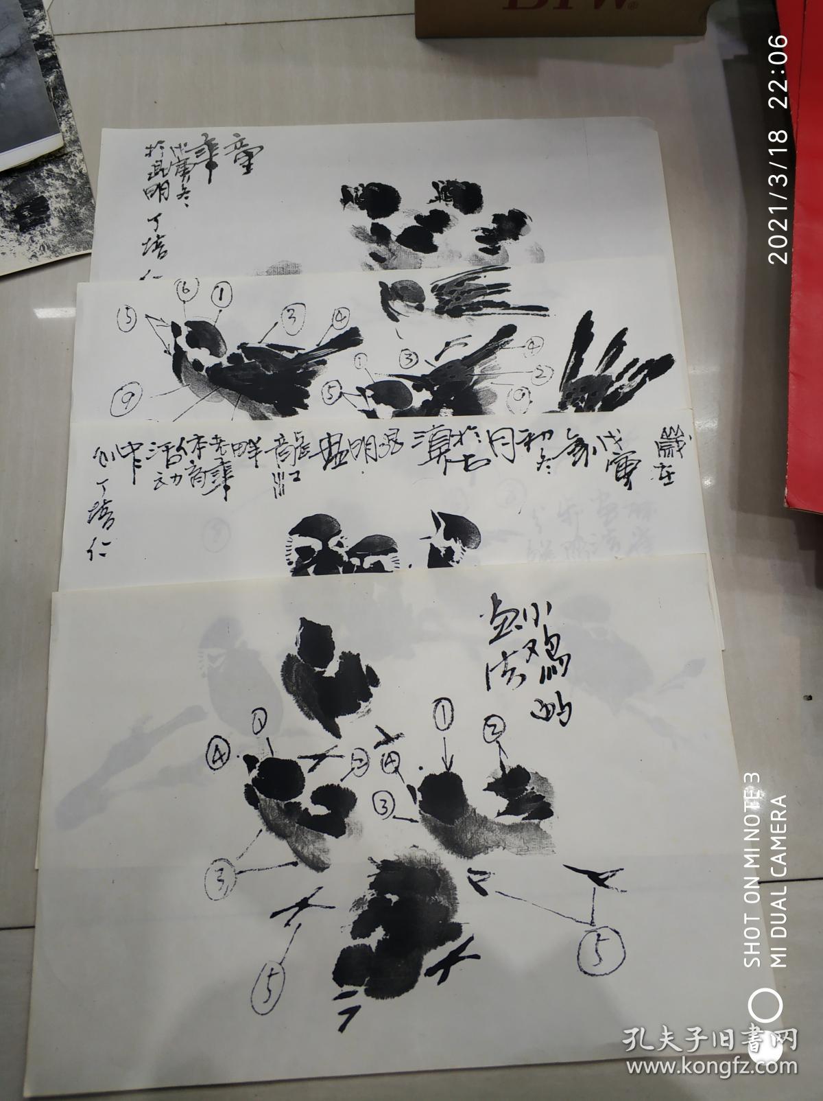 丁培仁 小鸡的画法 单张教案