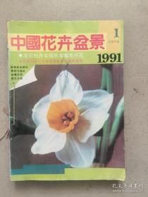 中国花卉盆景【1991年1-12期合订缺第9期】