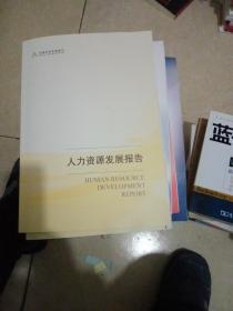 2020人力资源发展报告【219】