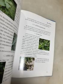 庐江树木志【大16开精装本，彩图铜版纸印刷，品相好】