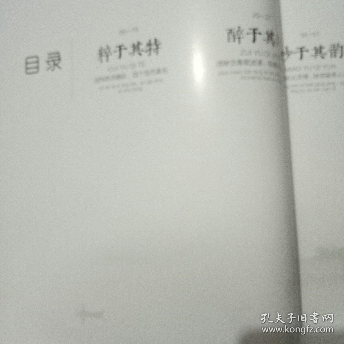 美丽北洋-梦憩特色小镇畅想诗意生活