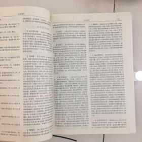 中国现代应用写作大词典