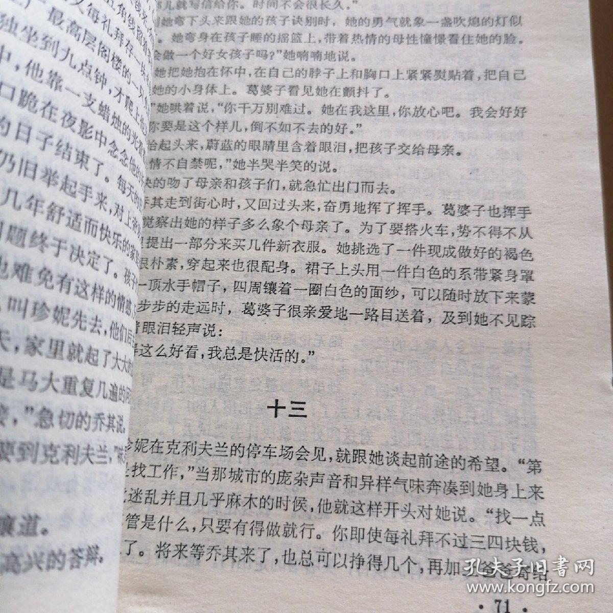 世界文学名著普及本：白痴、复活、斯巴达克思、三个火枪手、漂亮朋友、战地钟声、奇婚记、嘉利妹妹、妇女乐园、英雄艾文荷、孤星血泪、珍妮姑娘（共12本合售）