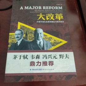 大改革：中国市场化改革的理论与现实取向