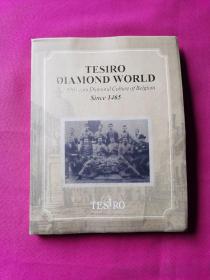 英文原版 TESIRO DIAMOND WORLD The 550 years Diamond Culture of Belgium Since 1465（TESIRO 的钻石世界）