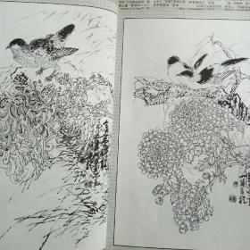 菊花白描画谱