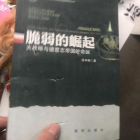 脆弱的崛起：大战略与德意志帝国的命运