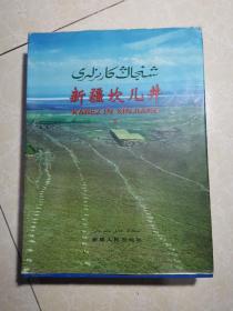 新疆坎儿井  下册