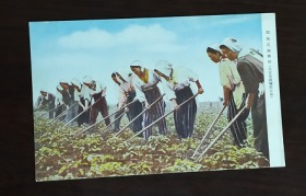 北安省铁骊县安拜，开拓花嫁学校