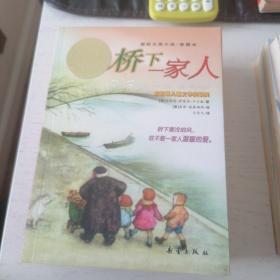 桥下一家人  纽伯瑞儿童文学奖银奖  国际大奖小说•爱藏本