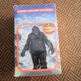 Choose Your Own Adventure 1-6(Box Set 1)