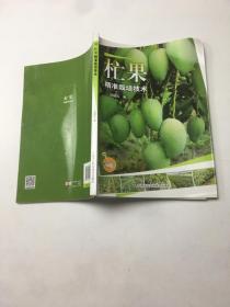 杧果精準(zhǔn)栽培技術(shù)