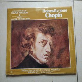 外文黑胶唱片：horowitz joue :chopin(霍洛维茨演奏：肖邦)经典唱片 无划痕