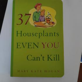 37 houseplants even you cant kill