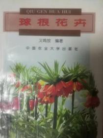 球根花卉