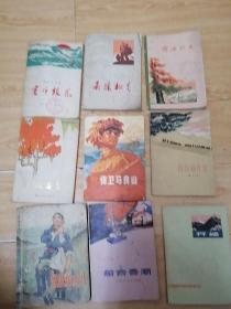 10本红色题材的书籍，塞外银花，雨涤松青，前进路上，彩练当空，保卫马良山，闪闪的红星，奴隶的女儿，船台春潮，开端，十本一起包邮