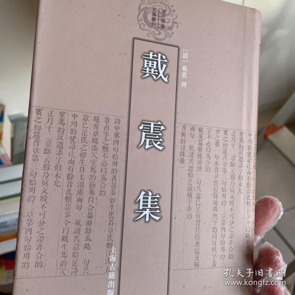 戴震集：清代学者文集丛刊