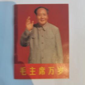 毛主席万岁小册子