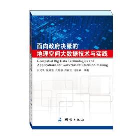 面向政府决策的地理空间大数据技术与实践
