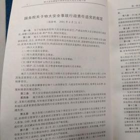 特大安全事故行政责任追究规定实施手册 上中下 全三册合售