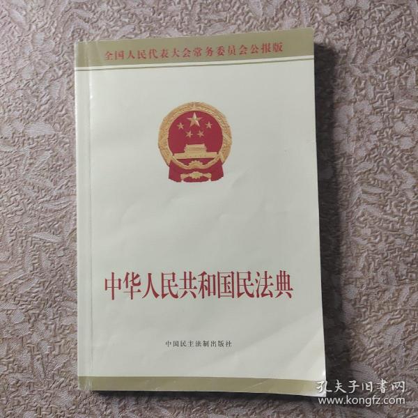 中华人民共和国民法典附草案说明32开