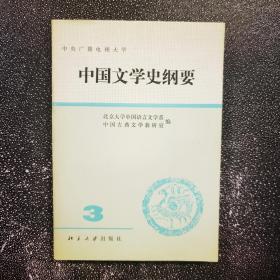 中国文学史纲要3