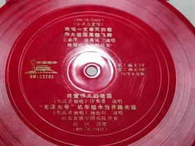33⅓薄膜唱片：BM-20205  女声二重唱   我唱一支春天的歌 伟大祖国展翅飞翔 我爱伟大的祖国 “毛泽东号”机车组永当开路先锋    有封套有歌词1张售     CP：BM009
