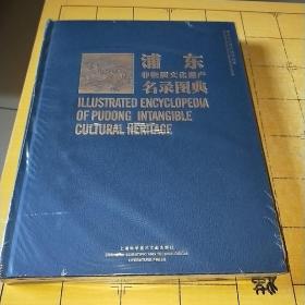 浦东非物质文化遗产名录图典 A2