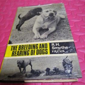 the breeding and rearing of dogs 养狗的参考书