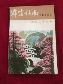 霹雳镇南