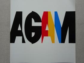 雅科夫·阿加姆  Yaacov Agam