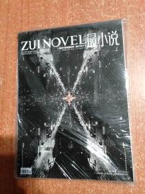 最小说2010年1-12全年(都有副刊最漫画等随赠品)共28册合售