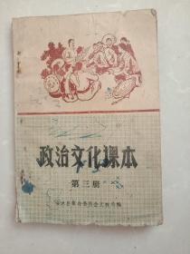 政治文化课本:第三册