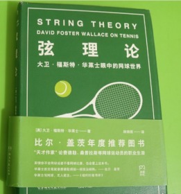 弦理论：大卫·福斯特·华莱士眼中的网球世界