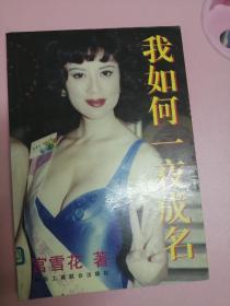 我如何一夜成名