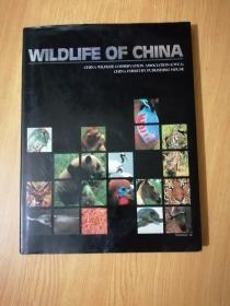 WILDLIFE OF CHINA 中国野生动物 【精装本】